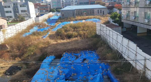 11월 9일  고현동 복합커뮤니티센터 매장문화재 발굴 현장 현황 모습